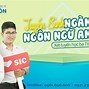 Chuẩn Đầu Ra Nghĩa Là Gì