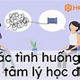 Hồ Sơ Tư Vấn Tâm Lý