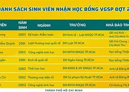 Học Bổng Vgsp 2022 Tại Mỹ Là Gì Ạ