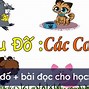 Luận Bàn Về Các Câu Đố Vui Cho Học Sinh Tiểu Học