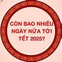 Mùng 1 Tết 2024 Là Ngày Bao Nhiêu