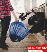 Nông Trại Tiếng Nhật Là Gì